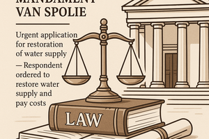 Tavakoli and Another v City of Cape Town (24562/2024) [2025] ZAWCHC 218 (23 May 2025)